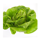 グッドリーフの野菜