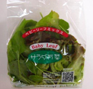 パッケージ写真