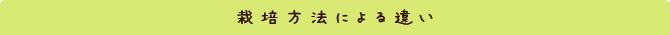 栽培方法による違い