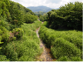 七山の小川