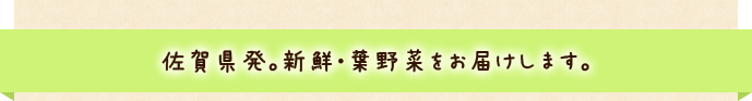 佐賀県発。新鮮・葉野菜をお届けします。