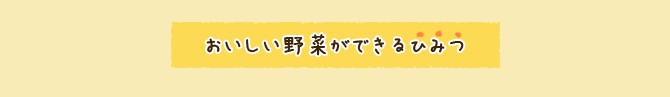 おいしい野菜ができるひみつ
